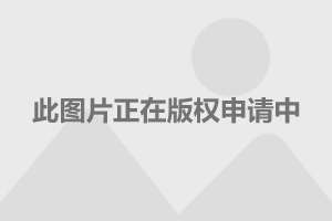  尼斯青年军掀青春风暴平均年龄联赛最小  